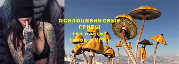прущие грибы Козельск