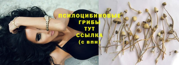 твердый Киреевск