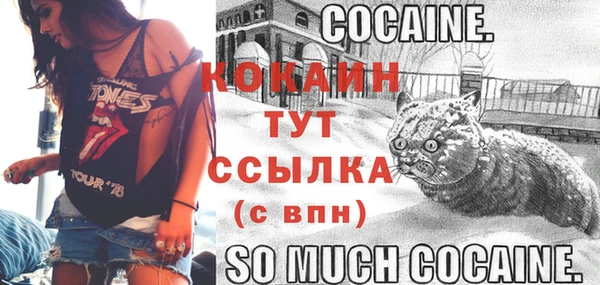 прущие грибы Козельск